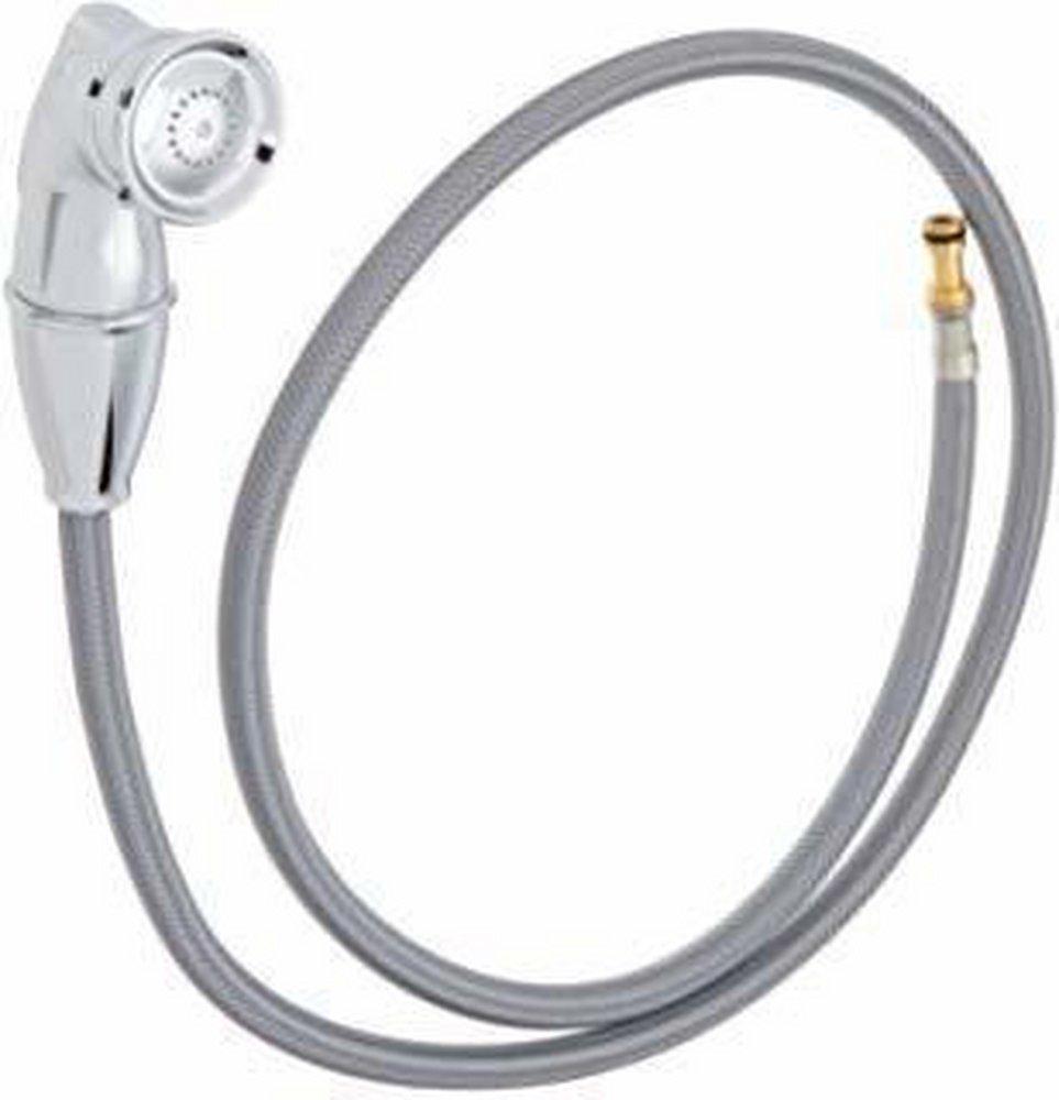 Moen Classic Stainless Hose and Spray 