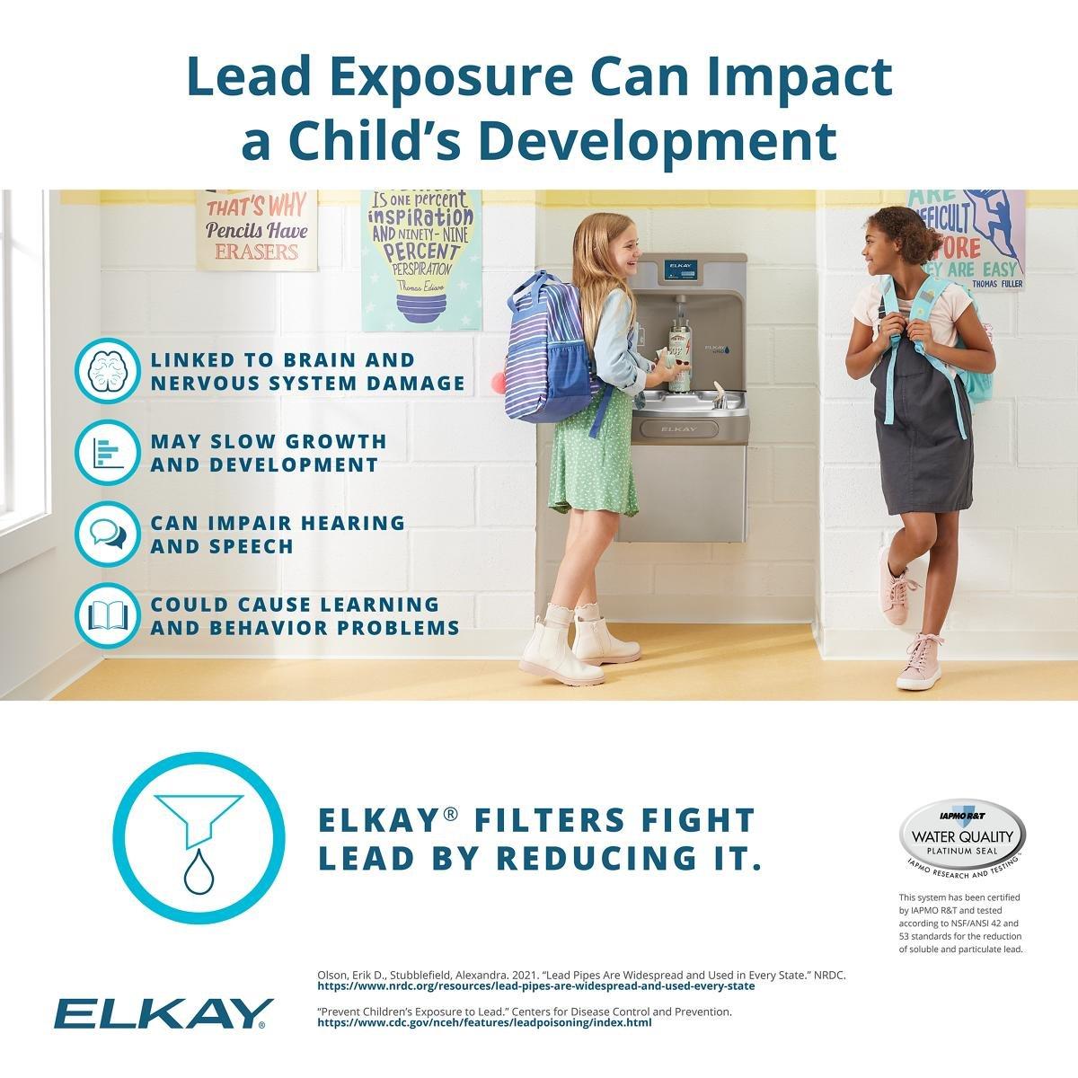 Elkay Rough Chrome Replacement Filter for EZ H2O Bottle Filling Stations 