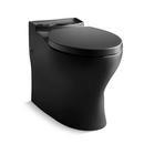 Elongated Toilet Bowl in Black Black™