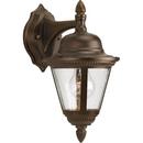 1 Light 60W Outdoor Wall Lantern with Clear Seeded Glass Antique Bronze