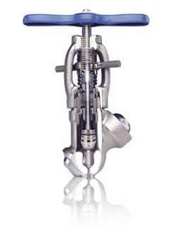 2 in. Stainless Steel Socket Weld Globe Valve