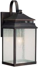 15 in. 100W 1-Light Outdoor Wall Lantern in Old Bronze