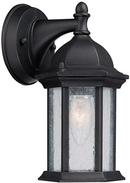 75 W 1-Light Medium Lantern in Black