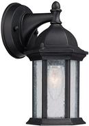 Capital Lighting Black 75 W 1-Light Medium Lantern 