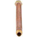 Zurn PEX 3/4 x 3/4 in. FIP x PEX Barbed Copper Water Heater Connector 