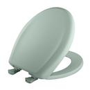 Round Closed Front Toilet Seat with Cover in Seafoam