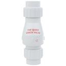 Zoeller Pump Co White 1-1/2 in. Plastic Pump Check Valve 