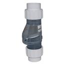 Zoeller Pump Co Clear 3 in. Plastic Check Valve 