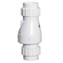 2 in. Plastic Union Check Valve