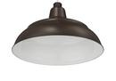 Millennium Lighting Architect Bronze 1-Light Warehouse Shade 