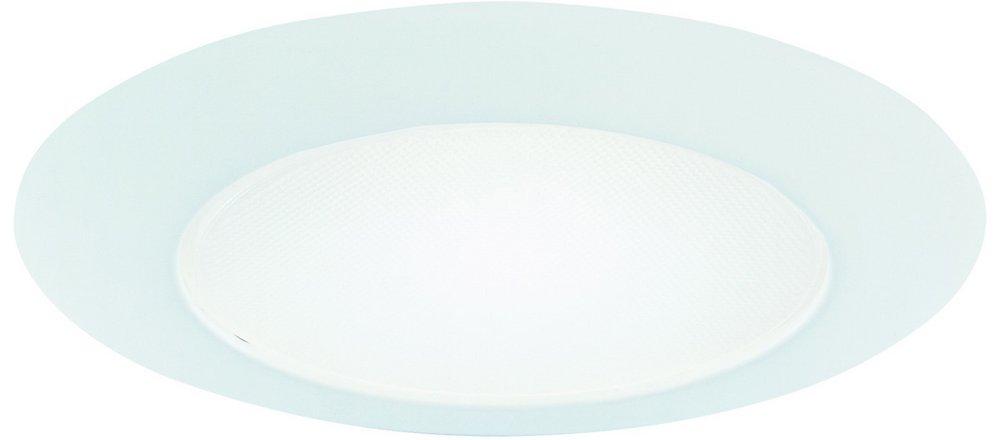 HALO White Glass Albanite Wet Location 