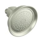 KOHLER Vibrant&reg; Brushed Nickel Single Function Full Showerhead 
