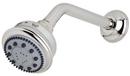 Multi Function Classic, Massage and Nebulizer Mist Showerhead in Polished Nickel
