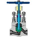 Velan Valve Carbon Steel Socket Weld Outside Globe Valve 