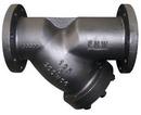 FNW&reg; Cast Iron 125# Flanged Perforated .062 Wye Strainer 