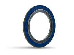 4 in. 150 psi 304 Stainless Steel Spiral Gasket with Graphite