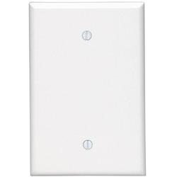 1-Gang Oversized Hard Plastic Blank Plate in White