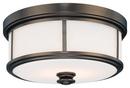 13-1/2 in. 60W 2-Light Flushmount in Harbour Point Bronze with Etched Opal Glass Shade