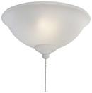 2-Light Ceiling Fan Light Kit in French Scavo