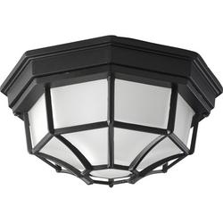 2-Light Die-Cast Ceiling Light Fixture in Black