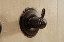 Delta Faucet Venetian Bronze 6 Setting Single Handle Diverter Trim 