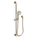 Multi Function Hand Shower in French Gold - PVD