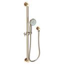 Newport Brass French Gold - PVD Multi Function Hand Shower 