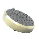 Newport Brass French Gold - PVD Multi Full,Massage and Vigorous Showerhead 