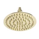 Newport Brass French Gold - PVD Single Wide and Rain Showerhead 