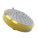 Multi Function Showerhead in Uncoated Polished Brass - Living