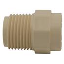 Cream CTS CPVC Male Adapter 