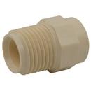 Cream CTS CPVC Male Adapter 