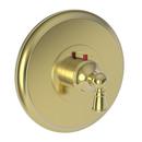 Single Handle Thermostatic Valve Trim in Uncoated Polished Brass - Living