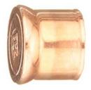 1 in. Copper Plug