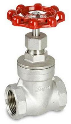 1 in. Stainless Steel Reduced Port Threaded Gate Valve