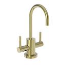 Uncoated Polished Brass - Living Hot and Cold Water Dispenser