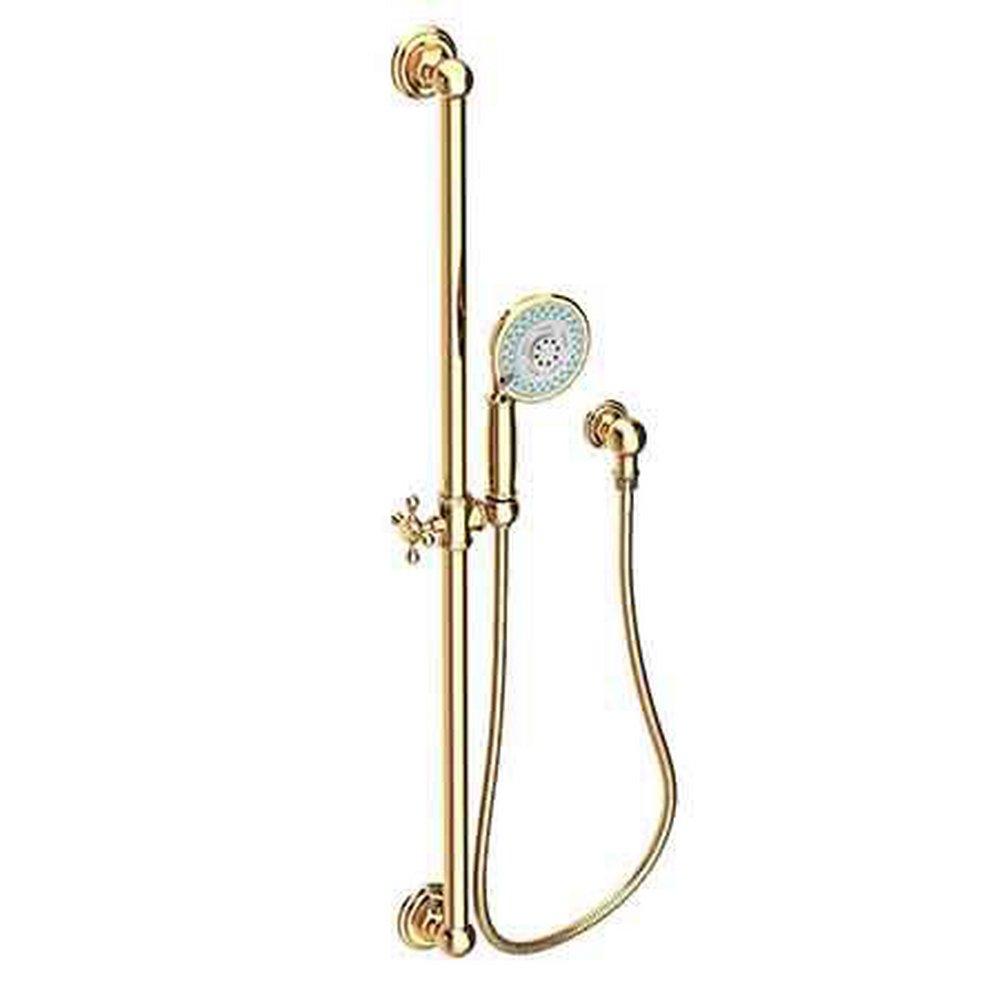 Newport Brass Uncoated Polished Brass - Living Multi Function Hand Shower 