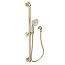 Multi Function Hand Shower in Uncoated Polished Brass - Living