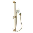 Newport Brass Uncoated Polished Brass - Living Multi Function Hand Shower 