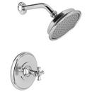 Newport Brass Polished Chrome Single Handle Single Function Shower Faucet (Trim Only) 