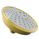 Newport Brass Uncoated Polished Brass - Living Multi Full,Massage and Intense Turbo Showerhead 