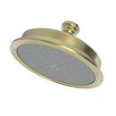 Single Function Showerhead in Uncoated Polished Brass - Living