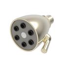 Newport Brass French Gold - PVD Single Full Showerhead 