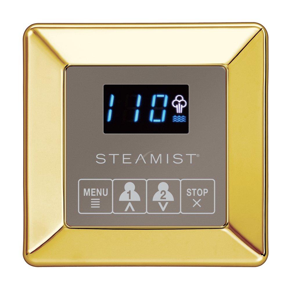 Steamist Polished Brass Steam Bath Control 