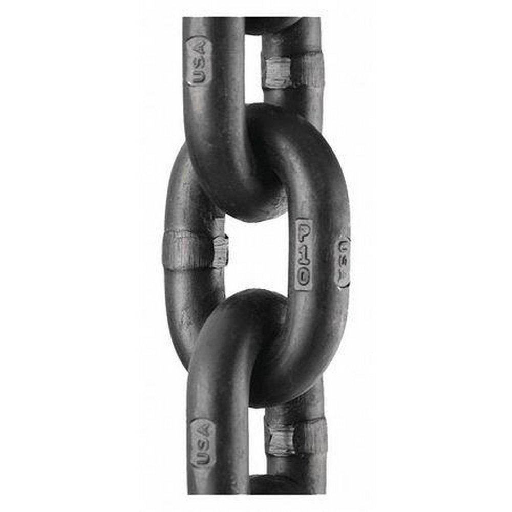Peerless Chain Alloy Guard with Chain 