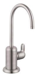 Hansgrohe Steel Optik Single Handle Lever Handle Water Filter Faucet 