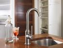 Hansgrohe Polished Chrome Single Handle Lever Handle Water Filter Faucet 