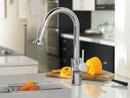 Hansgrohe Polished Chrome Single Handle Pull Down Kitchen Faucet 