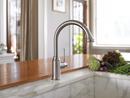 Hansgrohe Steel Optic Single Handle Pull Down Kitchen Faucet 