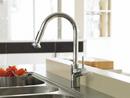 Hansgrohe Polished Chrome Single Handle Pull Down Kitchen Faucet 